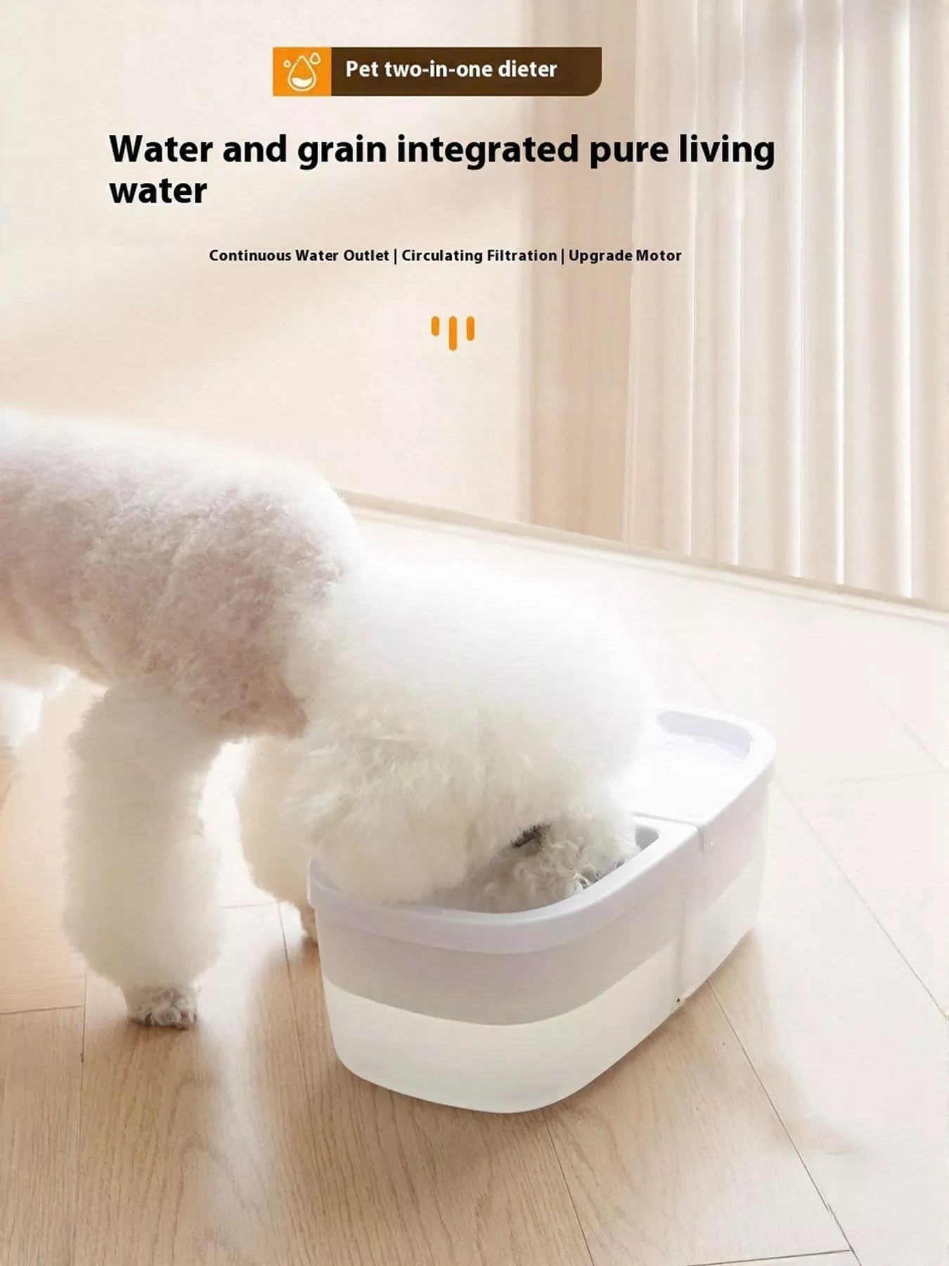 2 - in - 1 Automatic Water Dispenser & Food Bowl Pet Bowl - ꫀꪶꫀᧁꪖꪀᥴꫀ꠸ᠻꪗ~ 𝔈𝔪𝔟𝔯𝔞𝔠𝔢 𝔈𝔩𝔢𝔤𝔞𝔫𝔠𝔢