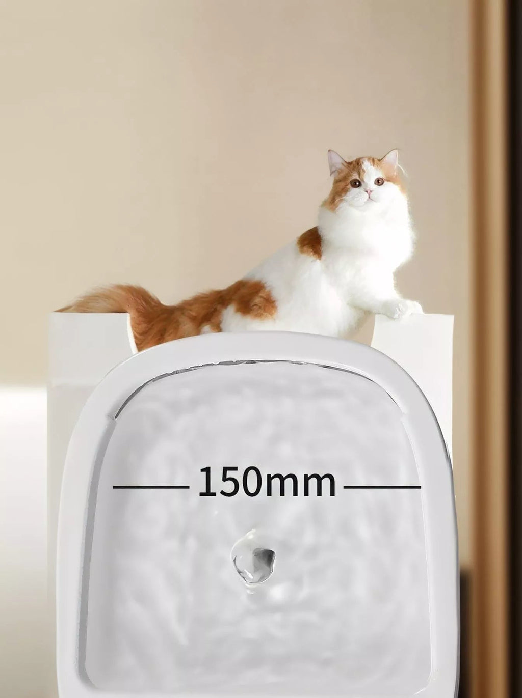 2 - in - 1 Automatic Water Dispenser & Food Bowl Pet Bowl - ꫀꪶꫀᧁꪖꪀᥴꫀ꠸ᠻꪗ~ 𝔈𝔪𝔟𝔯𝔞𝔠𝔢 𝔈𝔩𝔢𝔤𝔞𝔫𝔠𝔢