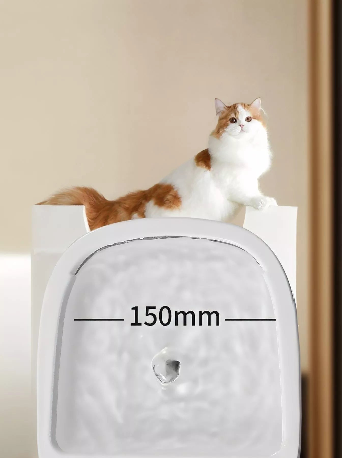 2 - in - 1 Automatic Water Dispenser & Food Bowl Pet Bowl - ꫀꪶꫀᧁꪖꪀᥴꫀ꠸ᠻꪗ~ 𝔈𝔪𝔟𝔯𝔞𝔠𝔢 𝔈𝔩𝔢𝔤𝔞𝔫𝔠𝔢