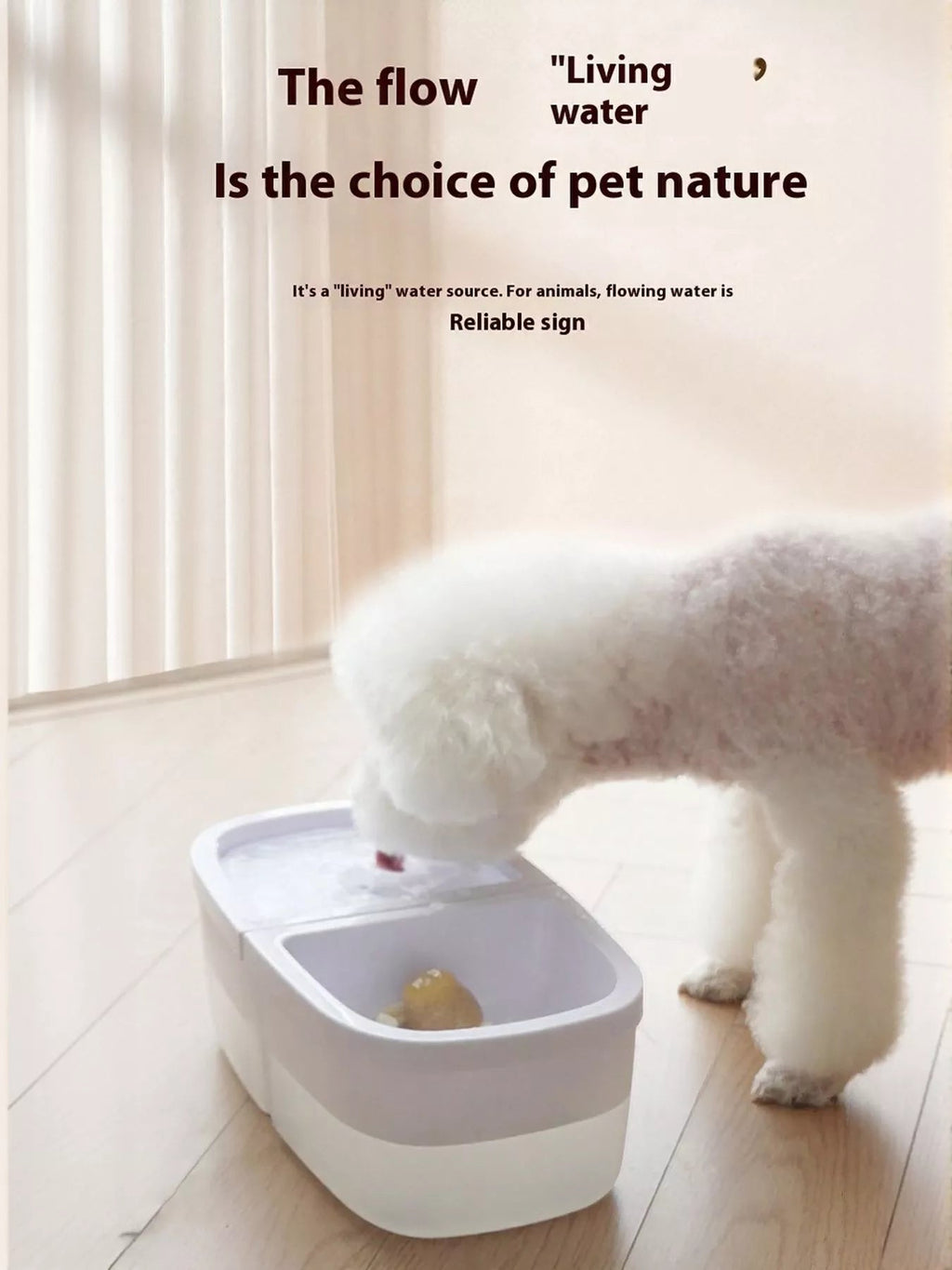 2 - in - 1 Automatic Water Dispenser & Food Bowl Pet Bowl - ꫀꪶꫀᧁꪖꪀᥴꫀ꠸ᠻꪗ~ 𝔈𝔪𝔟𝔯𝔞𝔠𝔢 𝔈𝔩𝔢𝔤𝔞𝔫𝔠𝔢