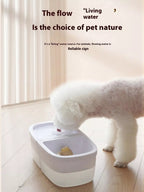 2 - in - 1 Automatic Water Dispenser & Food Bowl Pet Bowl - ꫀꪶꫀᧁꪖꪀᥴꫀ꠸ᠻꪗ~ 𝔈𝔪𝔟𝔯𝔞𝔠𝔢 𝔈𝔩𝔢𝔤𝔞𝔫𝔠𝔢