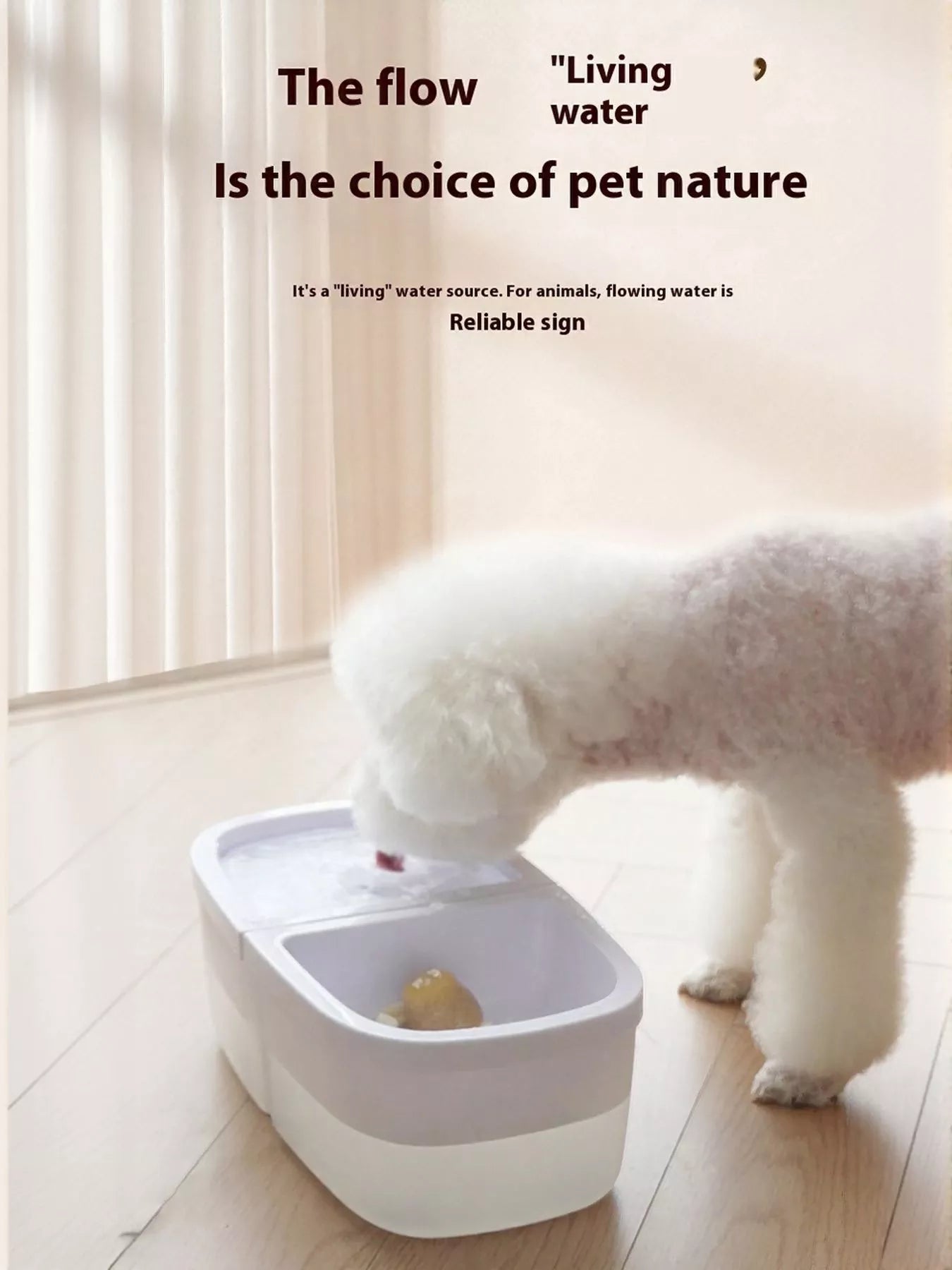 2 - in - 1 Automatic Water Dispenser & Food Bowl Pet Bowl - ꫀꪶꫀᧁꪖꪀᥴꫀ꠸ᠻꪗ~ 𝔈𝔪𝔟𝔯𝔞𝔠𝔢 𝔈𝔩𝔢𝔤𝔞𝔫𝔠𝔢