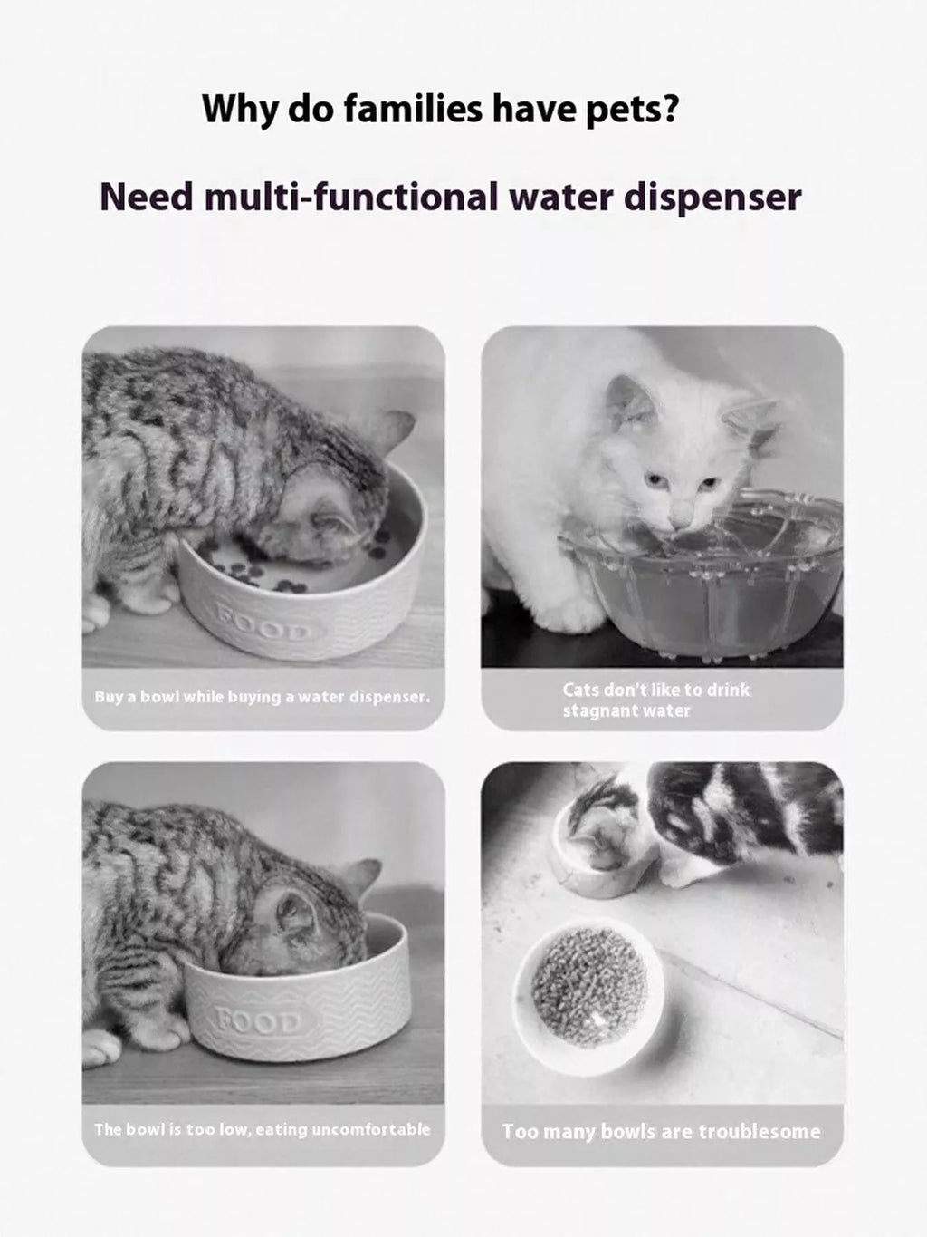 2 - in - 1 Automatic Water Dispenser & Food Bowl Pet Bowl - ꫀꪶꫀᧁꪖꪀᥴꫀ꠸ᠻꪗ~ 𝔈𝔪𝔟𝔯𝔞𝔠𝔢 𝔈𝔩𝔢𝔤𝔞𝔫𝔠𝔢