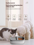 2 - in - 1 Automatic Water Dispenser & Food Bowl Pet Bowl - ꫀꪶꫀᧁꪖꪀᥴꫀ꠸ᠻꪗ~ 𝔈𝔪𝔟𝔯𝔞𝔠𝔢 𝔈𝔩𝔢𝔤𝔞𝔫𝔠𝔢
