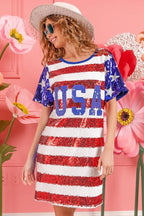 American Flag Theme USA Print Sequin Dress - ꫀꪶꫀᧁꪖꪀᥴꫀ꠸ᠻꪗ~ 𝔈𝔪𝔟𝔯𝔞𝔠𝔢 𝔈𝔩𝔢𝔤𝔞𝔫𝔠𝔢