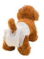 Pet Diapers Pack for Easy Cleanup - ꫀꪶꫀᧁꪖꪀᥴꫀ꠸ᠻꪗ~ 𝔈𝔪𝔟𝔯𝔞𝔠𝔢 𝔈𝔩𝔢𝔤𝔞𝔫𝔠𝔢