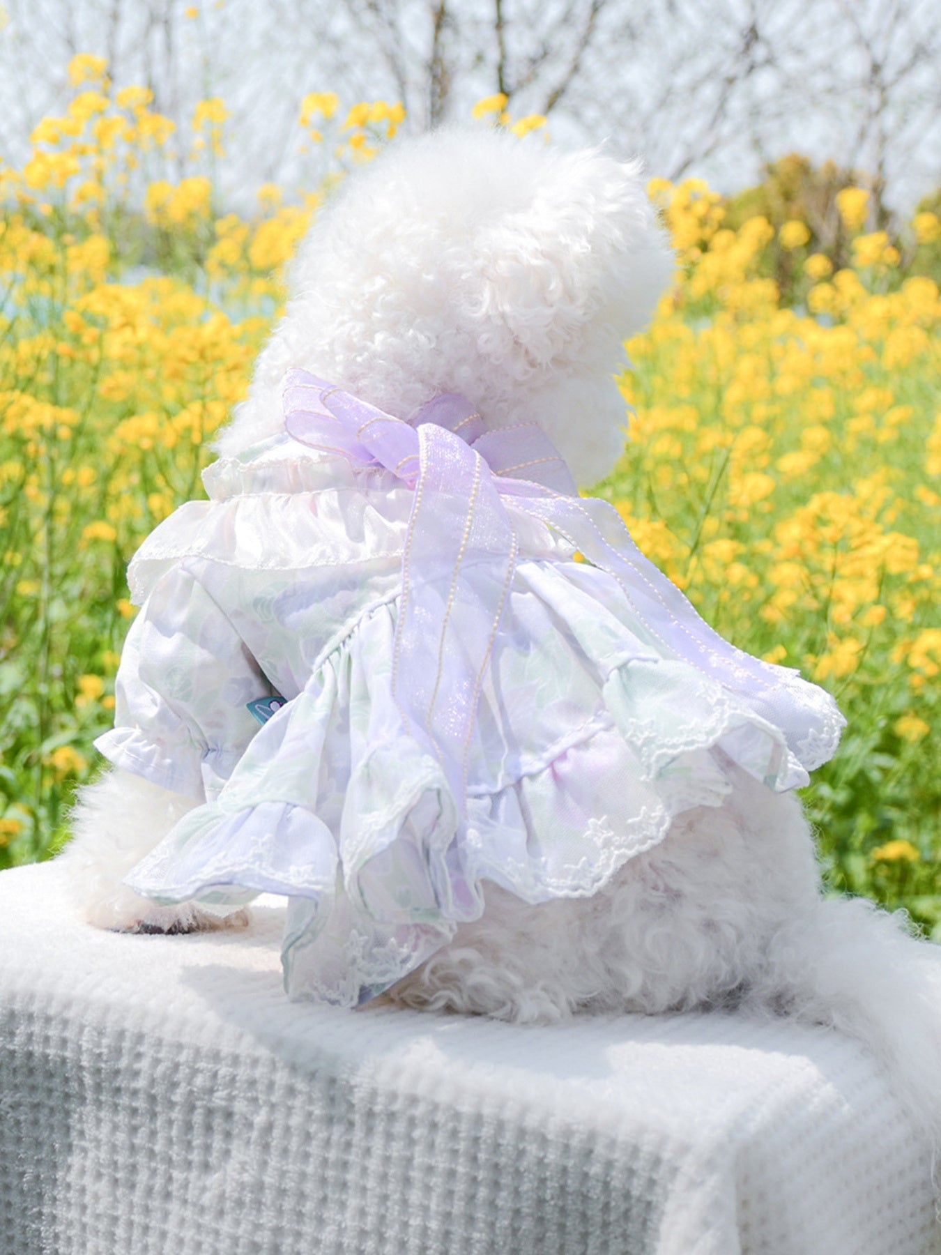 Fashionable Printed Pet Dress With Bow - ꫀꪶꫀᧁꪖꪀᥴꫀ꠸ᠻꪗ~ 𝔈𝔪𝔟𝔯𝔞𝔠𝔢 𝔈𝔩𝔢𝔤𝔞𝔫𝔠𝔢