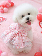 Fashionable Printed Pet Dress With Bow - ꫀꪶꫀᧁꪖꪀᥴꫀ꠸ᠻꪗ~ 𝔈𝔪𝔟𝔯𝔞𝔠𝔢 𝔈𝔩𝔢𝔤𝔞𝔫𝔠𝔢