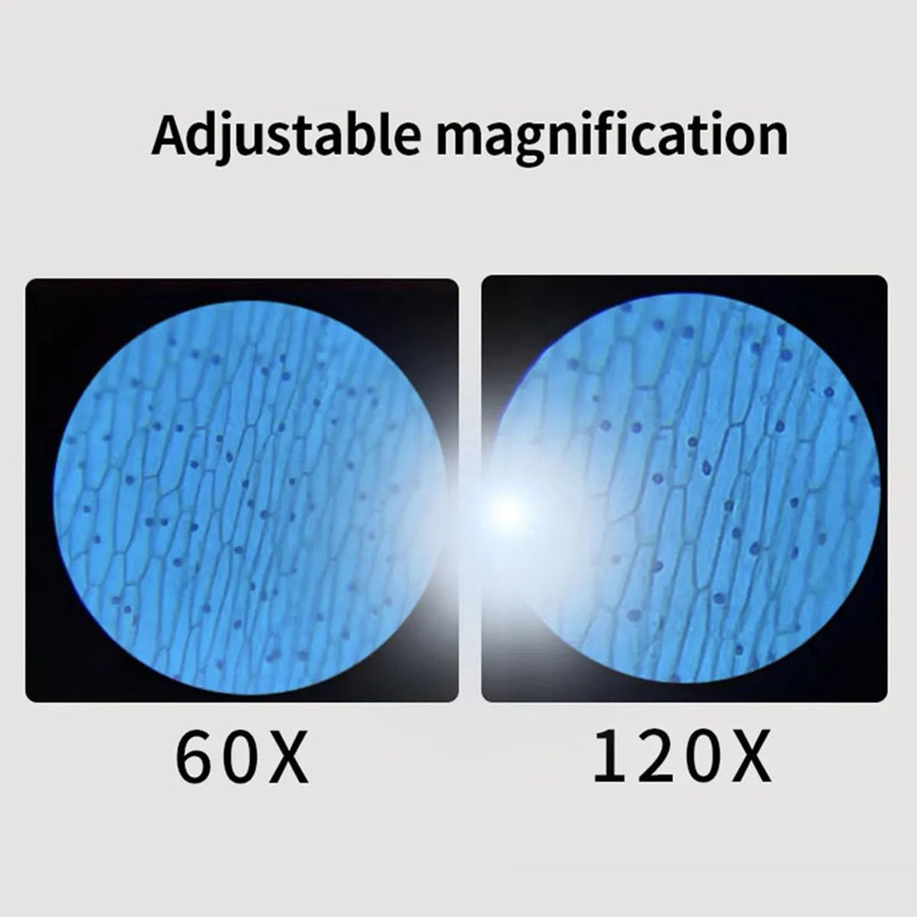 Kids Educational Pocket Handheld Microscope with LED Light - ꫀꪶꫀᧁꪖꪀᥴꫀ꠸ᠻꪗ~ 𝔈𝔪𝔟𝔯𝔞𝔠𝔢 𝔈𝔩𝔢𝔤𝔞𝔫𝔠𝔢