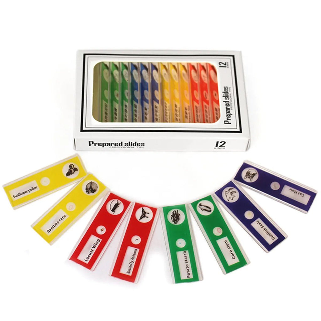 Kids Educational Pocket Handheld Microscope with LED Light - ꫀꪶꫀᧁꪖꪀᥴꫀ꠸ᠻꪗ~ 𝔈𝔪𝔟𝔯𝔞𝔠𝔢 𝔈𝔩𝔢𝔤𝔞𝔫𝔠𝔢