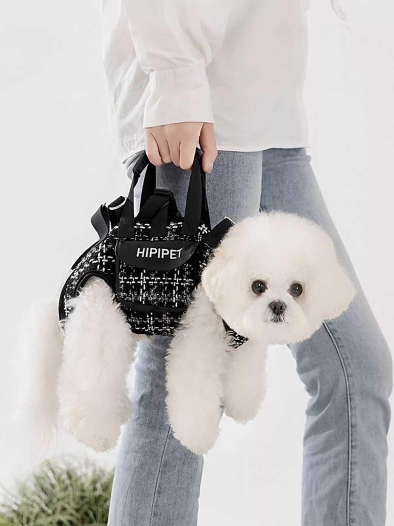 Trendy Plaid Pet Harness and Leash Set - ꫀꪶꫀᧁꪖꪀᥴꫀ꠸ᠻꪗ~ 𝔈𝔪𝔟𝔯𝔞𝔠𝔢 𝔈𝔩𝔢𝔤𝔞𝔫𝔠𝔢