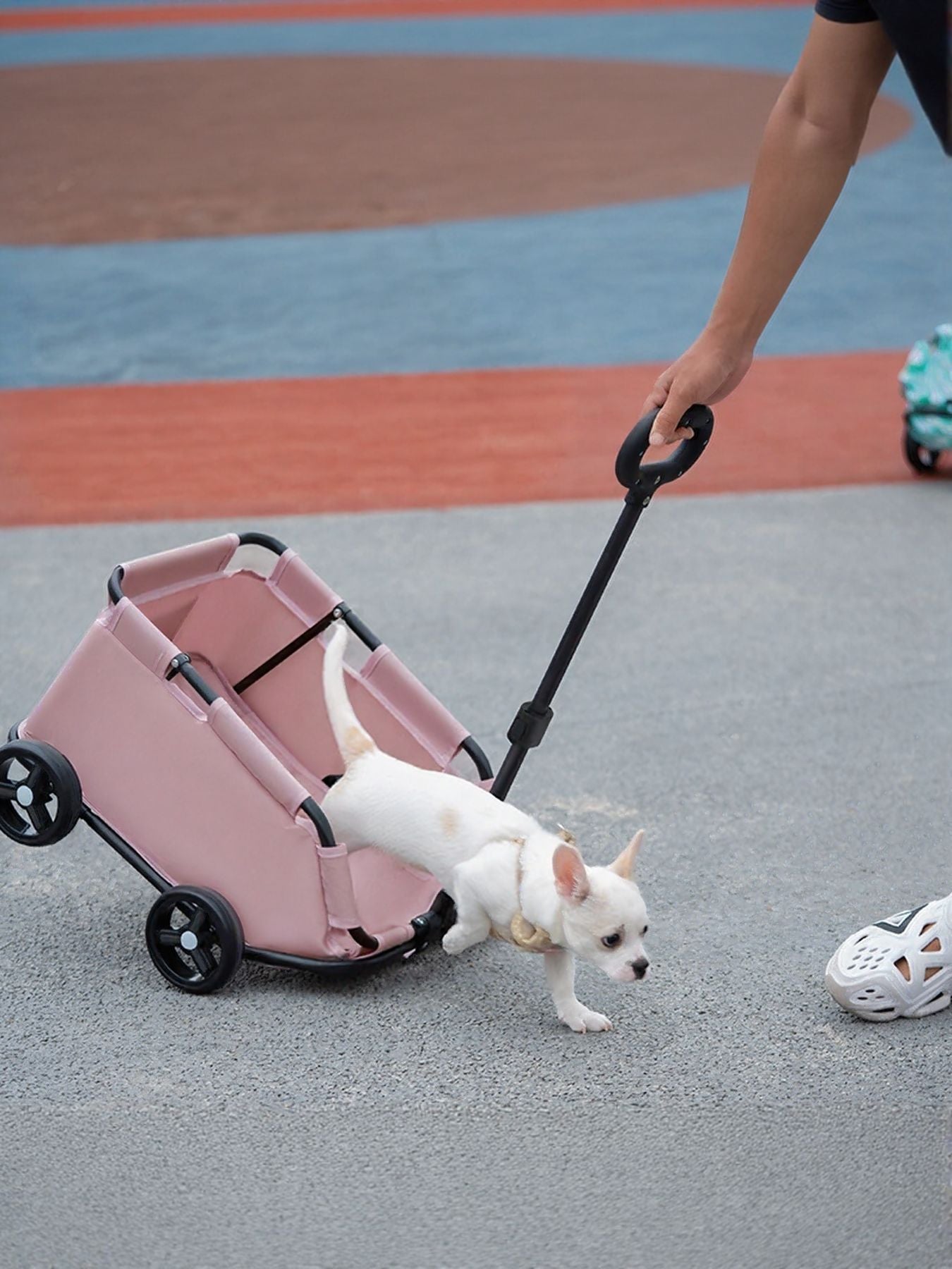 Portable Folding Pet Stroller Wagon - ꫀꪶꫀᧁꪖꪀᥴꫀ꠸ᠻꪗ~ 𝔈𝔪𝔟𝔯𝔞𝔠𝔢 𝔈𝔩𝔢𝔤𝔞𝔫𝔠𝔢