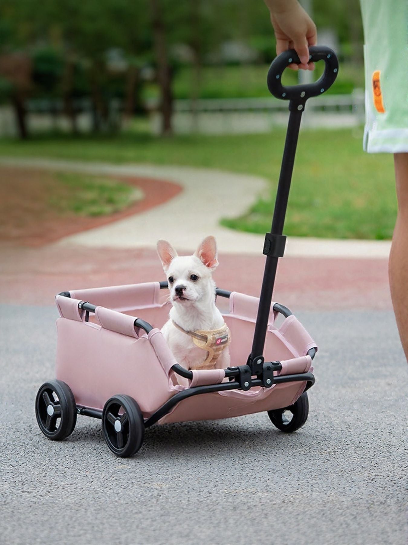 Portable Folding Pet Stroller Wagon - ꫀꪶꫀᧁꪖꪀᥴꫀ꠸ᠻꪗ~ 𝔈𝔪𝔟𝔯𝔞𝔠𝔢 𝔈𝔩𝔢𝔤𝔞𝔫𝔠𝔢