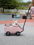 Portable Folding Pet Stroller Wagon - ꫀꪶꫀᧁꪖꪀᥴꫀ꠸ᠻꪗ~ 𝔈𝔪𝔟𝔯𝔞𝔠𝔢 𝔈𝔩𝔢𝔤𝔞𝔫𝔠𝔢