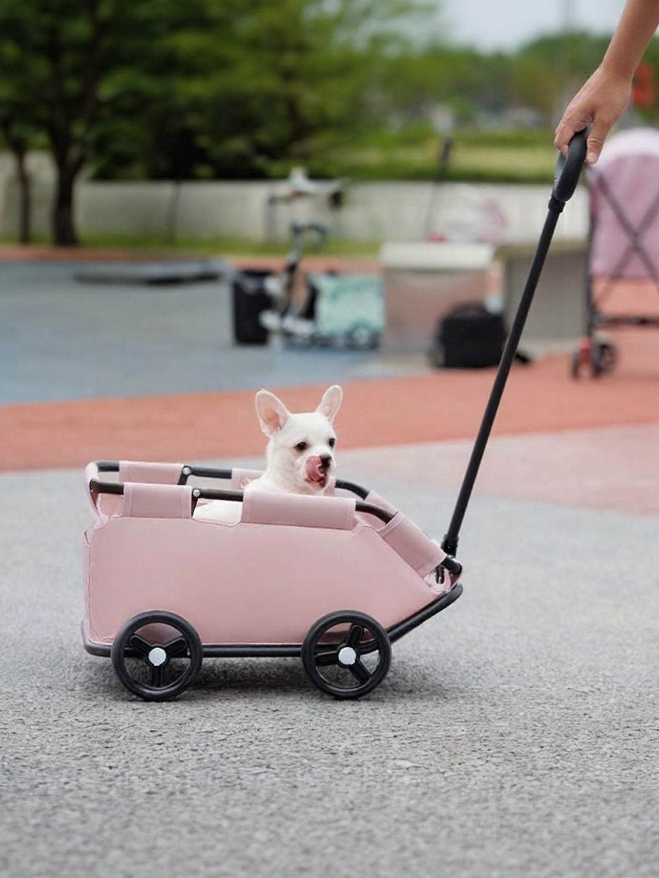 Portable Folding Pet Stroller Wagon - ꫀꪶꫀᧁꪖꪀᥴꫀ꠸ᠻꪗ~ 𝔈𝔪𝔟𝔯𝔞𝔠𝔢 𝔈𝔩𝔢𝔤𝔞𝔫𝔠𝔢