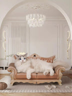 Retro Wear - Resistant Cat Scratcher Lounge - ꫀꪶꫀᧁꪖꪀᥴꫀ꠸ᠻꪗ~ 𝔈𝔪𝔟𝔯𝔞𝔠𝔢 𝔈𝔩𝔢𝔤𝔞𝔫𝔠𝔢