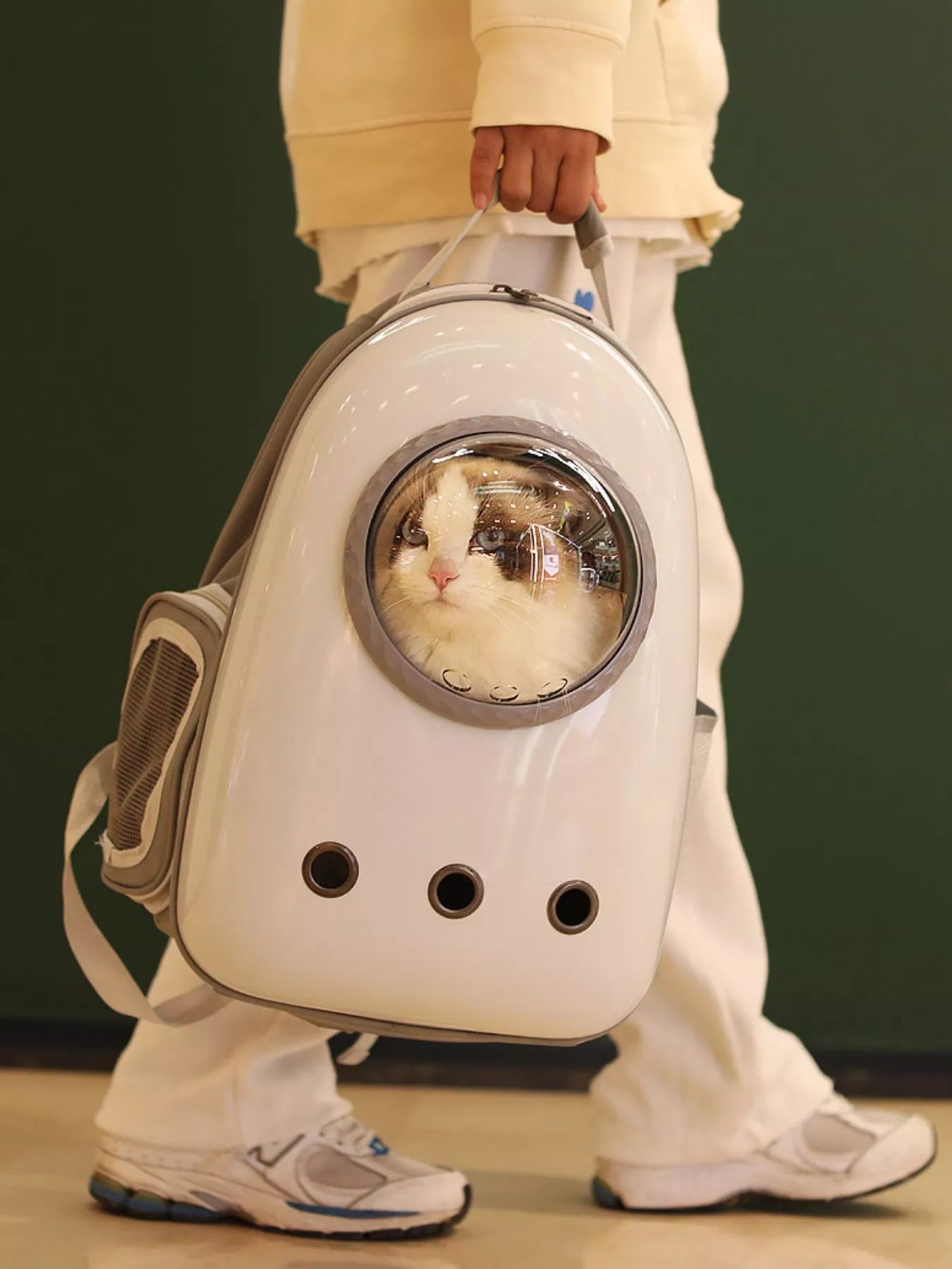 Space Capsule Transparent Pet Carrier Backpack - ꫀꪶꫀᧁꪖꪀᥴꫀ꠸ᠻꪗ~ 𝔈𝔪𝔟𝔯𝔞𝔠𝔢 𝔈𝔩𝔢𝔤𝔞𝔫𝔠𝔢