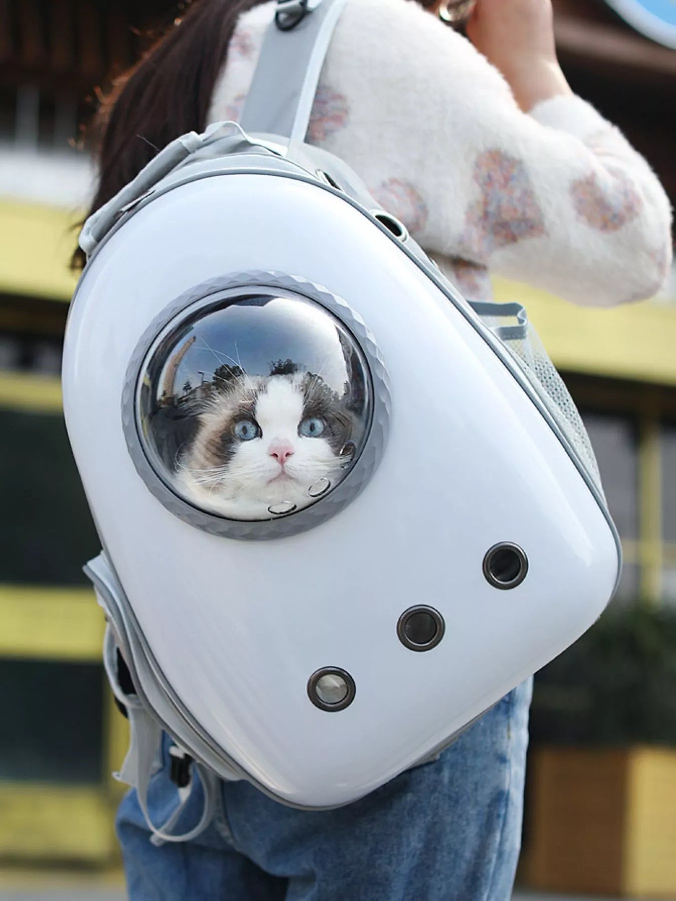 Space Capsule Transparent Pet Carrier Backpack - ꫀꪶꫀᧁꪖꪀᥴꫀ꠸ᠻꪗ~ 𝔈𝔪𝔟𝔯𝔞𝔠𝔢 𝔈𝔩𝔢𝔤𝔞𝔫𝔠𝔢