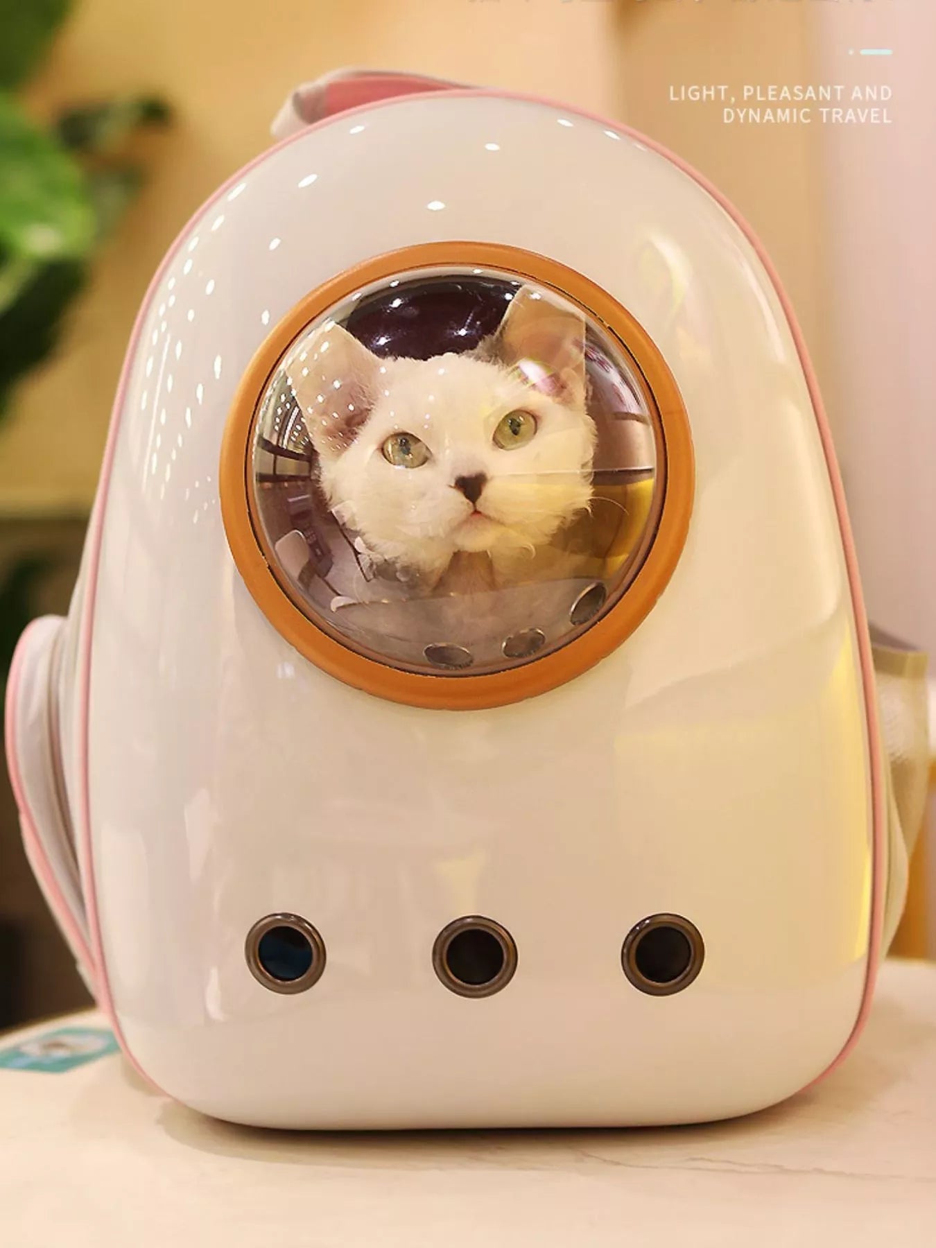Space Capsule Transparent Pet Carrier Backpack - ꫀꪶꫀᧁꪖꪀᥴꫀ꠸ᠻꪗ~ 𝔈𝔪𝔟𝔯𝔞𝔠𝔢 𝔈𝔩𝔢𝔤𝔞𝔫𝔠𝔢