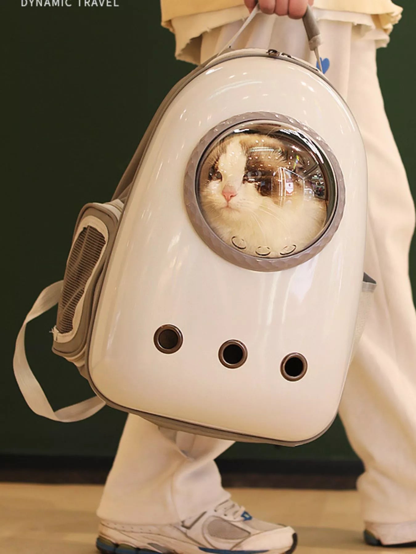 Space Capsule Transparent Pet Carrier Backpack - ꫀꪶꫀᧁꪖꪀᥴꫀ꠸ᠻꪗ~ 𝔈𝔪𝔟𝔯𝔞𝔠𝔢 𝔈𝔩𝔢𝔤𝔞𝔫𝔠𝔢