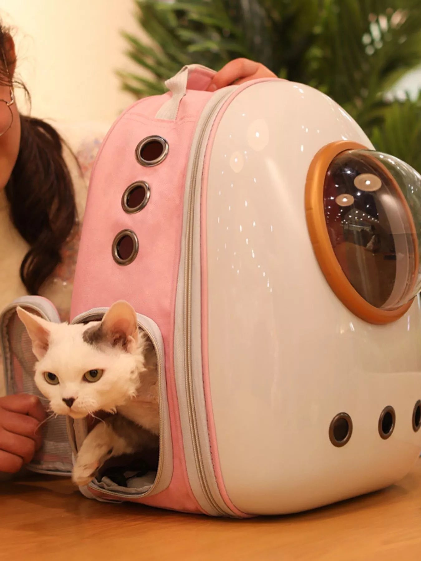 Space Capsule Transparent Pet Carrier Backpack - ꫀꪶꫀᧁꪖꪀᥴꫀ꠸ᠻꪗ~ 𝔈𝔪𝔟𝔯𝔞𝔠𝔢 𝔈𝔩𝔢𝔤𝔞𝔫𝔠𝔢