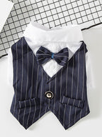 Stylish Striped Bow Tie Pet Blazer - ꫀꪶꫀᧁꪖꪀᥴꫀ꠸ᠻꪗ~ 𝔈𝔪𝔟𝔯𝔞𝔠𝔢 𝔈𝔩𝔢𝔤𝔞𝔫𝔠𝔢