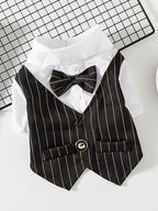 Stylish Striped Bow Tie Pet Blazer - ꫀꪶꫀᧁꪖꪀᥴꫀ꠸ᠻꪗ~ 𝔈𝔪𝔟𝔯𝔞𝔠𝔢 𝔈𝔩𝔢𝔤𝔞𝔫𝔠𝔢