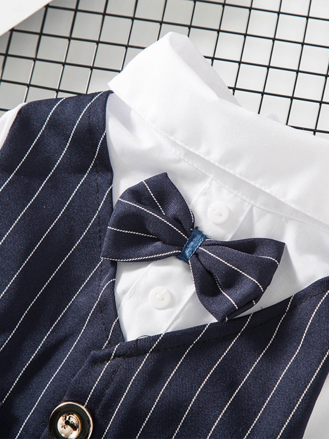 Stylish Striped Bow Tie Pet Blazer - ꫀꪶꫀᧁꪖꪀᥴꫀ꠸ᠻꪗ~ 𝔈𝔪𝔟𝔯𝔞𝔠𝔢 𝔈𝔩𝔢𝔤𝔞𝔫𝔠𝔢