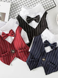 Stylish Striped Bow Tie Pet Blazer - ꫀꪶꫀᧁꪖꪀᥴꫀ꠸ᠻꪗ~ 𝔈𝔪𝔟𝔯𝔞𝔠𝔢 𝔈𝔩𝔢𝔤𝔞𝔫𝔠𝔢