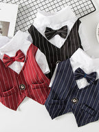 Stylish Striped Bow Tie Pet Blazer - ꫀꪶꫀᧁꪖꪀᥴꫀ꠸ᠻꪗ~ 𝔈𝔪𝔟𝔯𝔞𝔠𝔢 𝔈𝔩𝔢𝔤𝔞𝔫𝔠𝔢