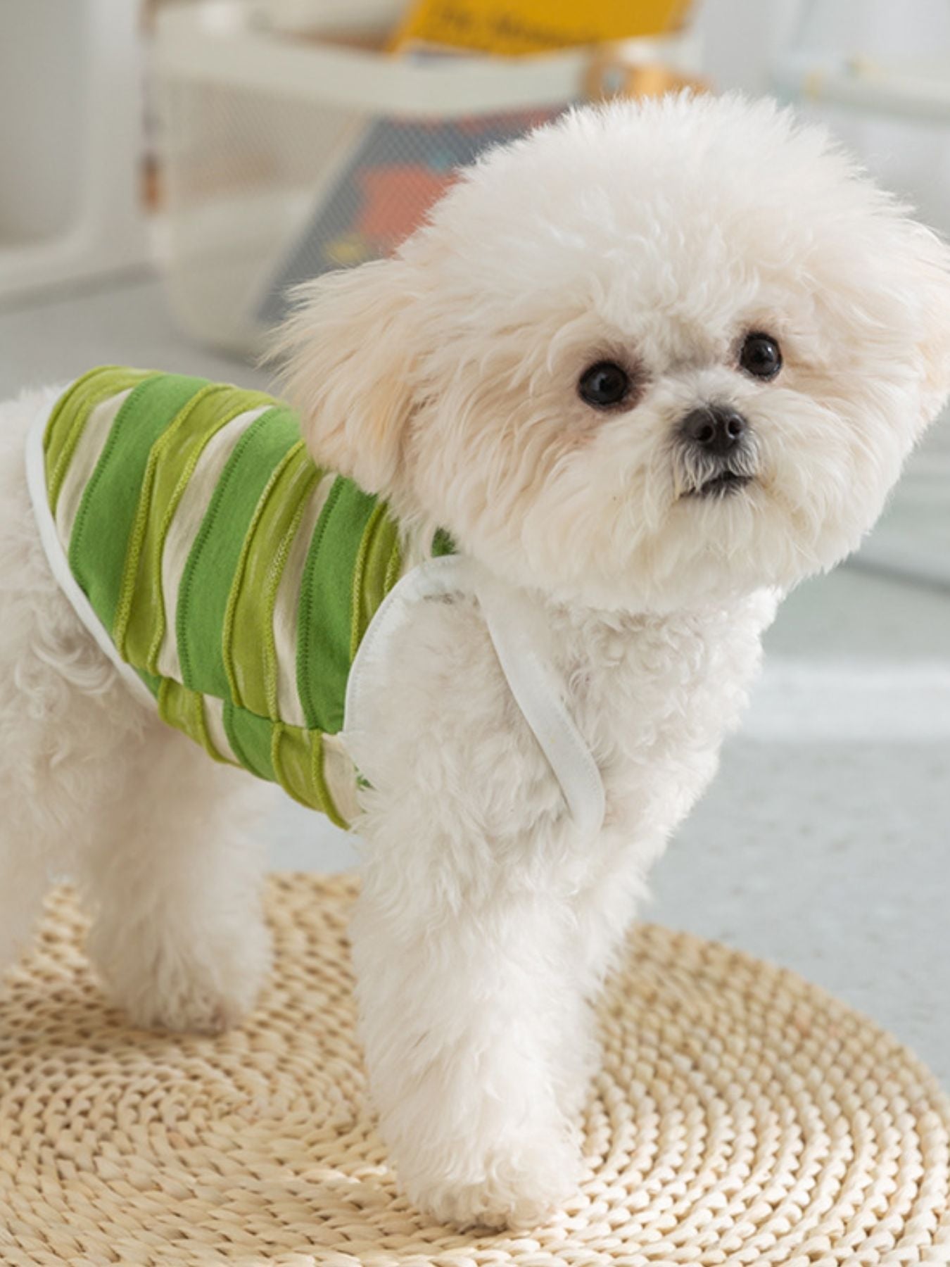 Stylish Striped Breathable Pet Top - ꫀꪶꫀᧁꪖꪀᥴꫀ꠸ᠻꪗ~ 𝔈𝔪𝔟𝔯𝔞𝔠𝔢 𝔈𝔩𝔢𝔤𝔞𝔫𝔠𝔢