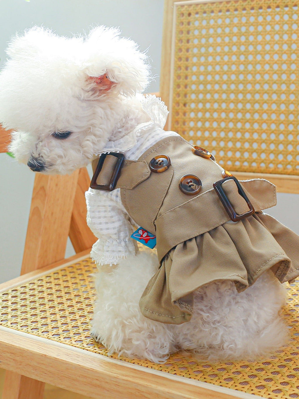 Stylish Buckle Pet Trench Coat - ꫀꪶꫀᧁꪖꪀᥴꫀ꠸ᠻꪗ~ 𝔈𝔪𝔟𝔯𝔞𝔠𝔢 𝔈𝔩𝔢𝔤𝔞𝔫𝔠𝔢