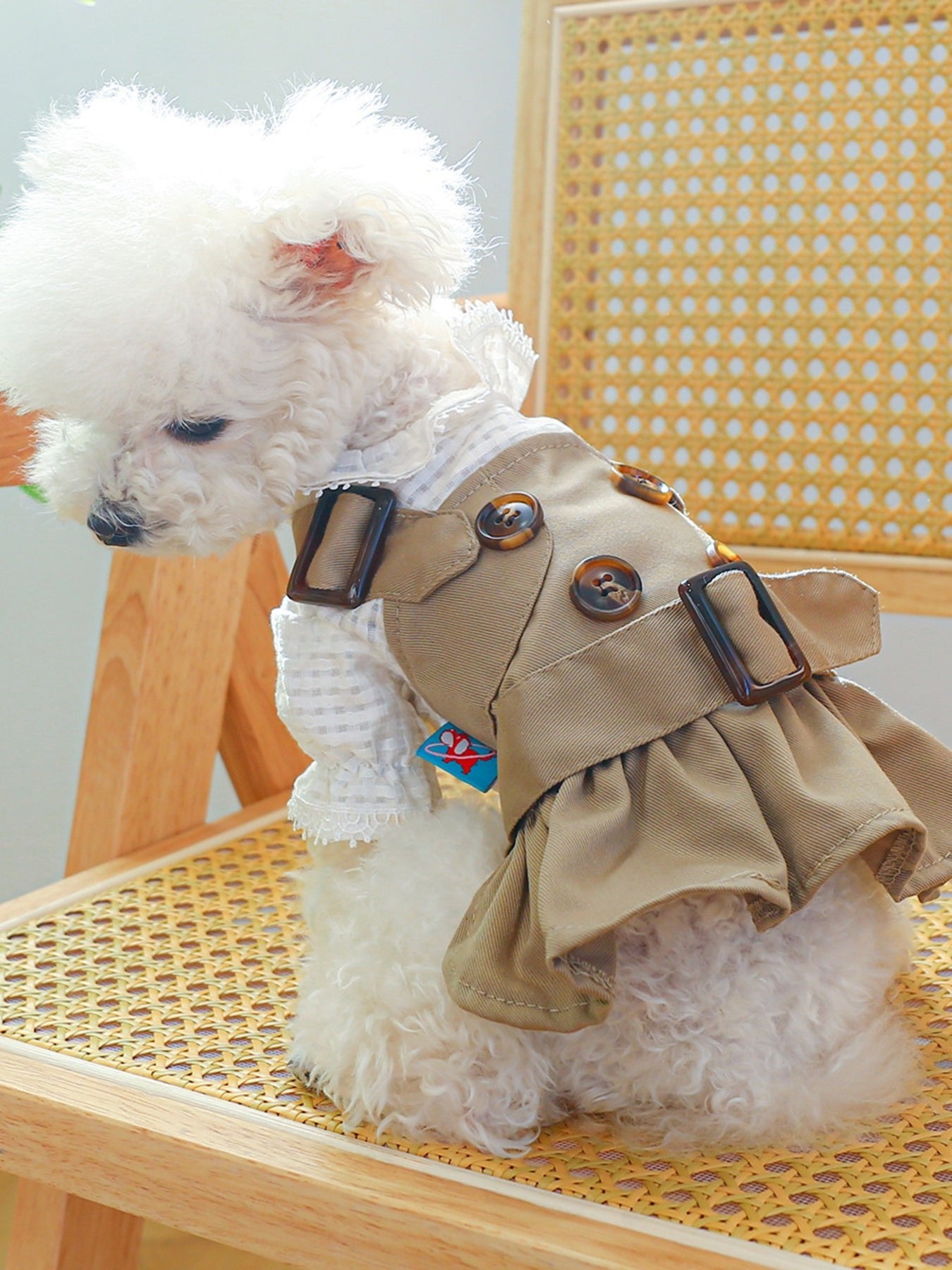Stylish Buckle Pet Trench Coat - ꫀꪶꫀᧁꪖꪀᥴꫀ꠸ᠻꪗ~ 𝔈𝔪𝔟𝔯𝔞𝔠𝔢 𝔈𝔩𝔢𝔤𝔞𝔫𝔠𝔢